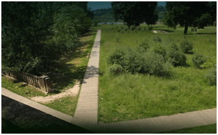 Image parc feyssine 1